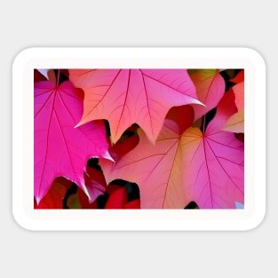 Pink Color Autumn Leaves Background Digital Illustration Art Sticker